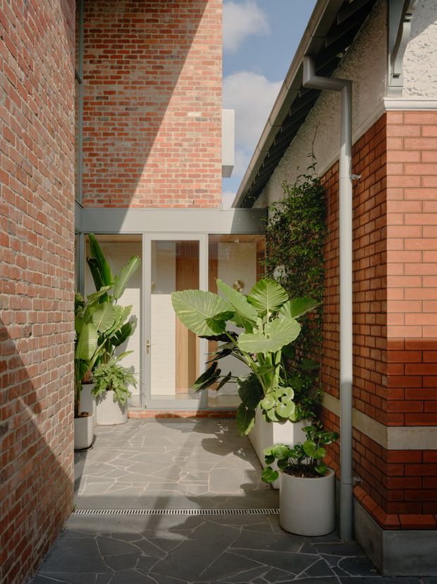 A narrow, sunlit courtyard passage between brick buildings, featuring red brick walls, textured rendered surfaces, a glazed timber entry door, grey irregular stone paving, exposed roof eaves and downpipes, and abundant large-leaf potted greenery. The composition emphasizes the enclosed architectural connection and layered indoor-outdoor threshold.