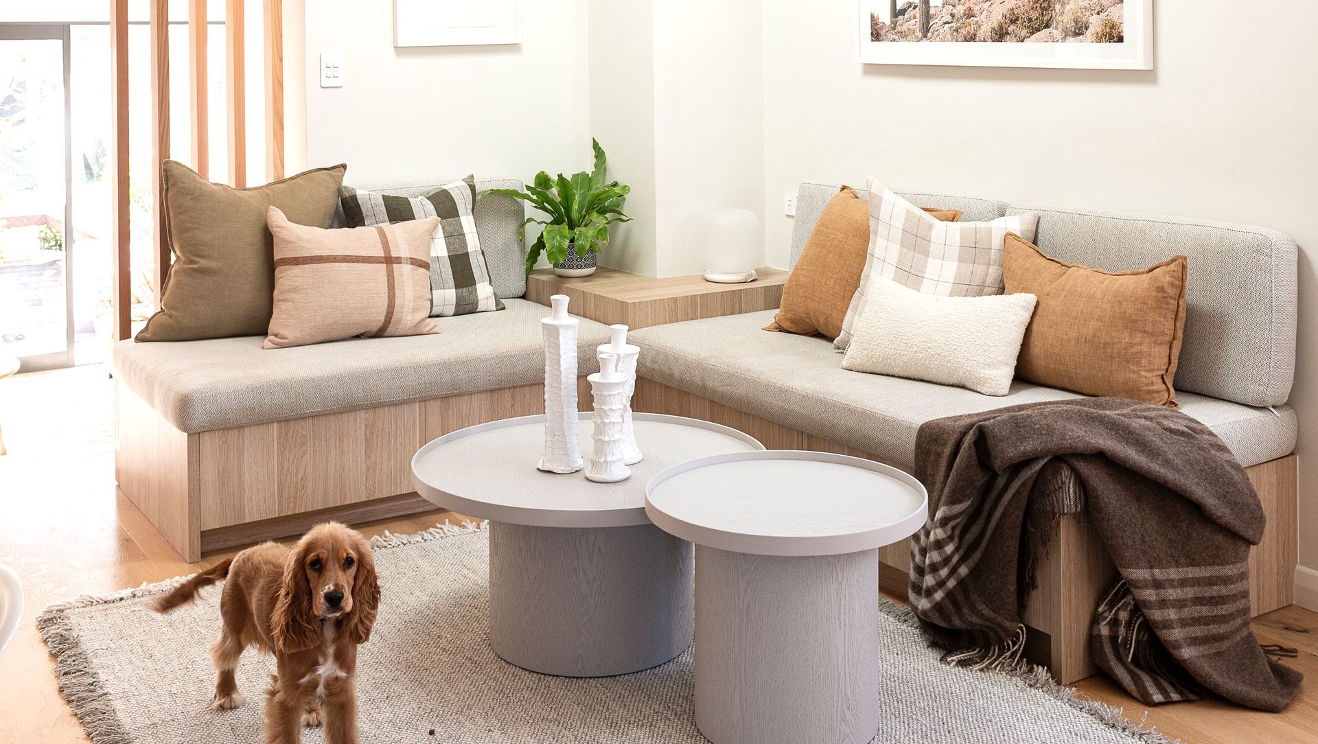 Narrowneck Renovation banner