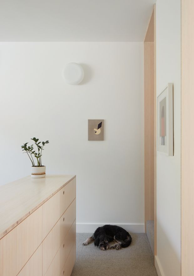 A softly lit minimalist hallway or entry corridor with pale timber built-in cabinetry and a matching tall timber door or storage wall. The space has white walls, grey carpet, a simple round wall light, framed abstract artwork, and a small potted plant on the cabinetry. A dog is resting on the floor. The restrained palette and clean joinery create a calm, refined atmosphere.