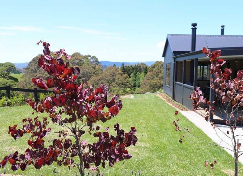 Clevedon - New Build