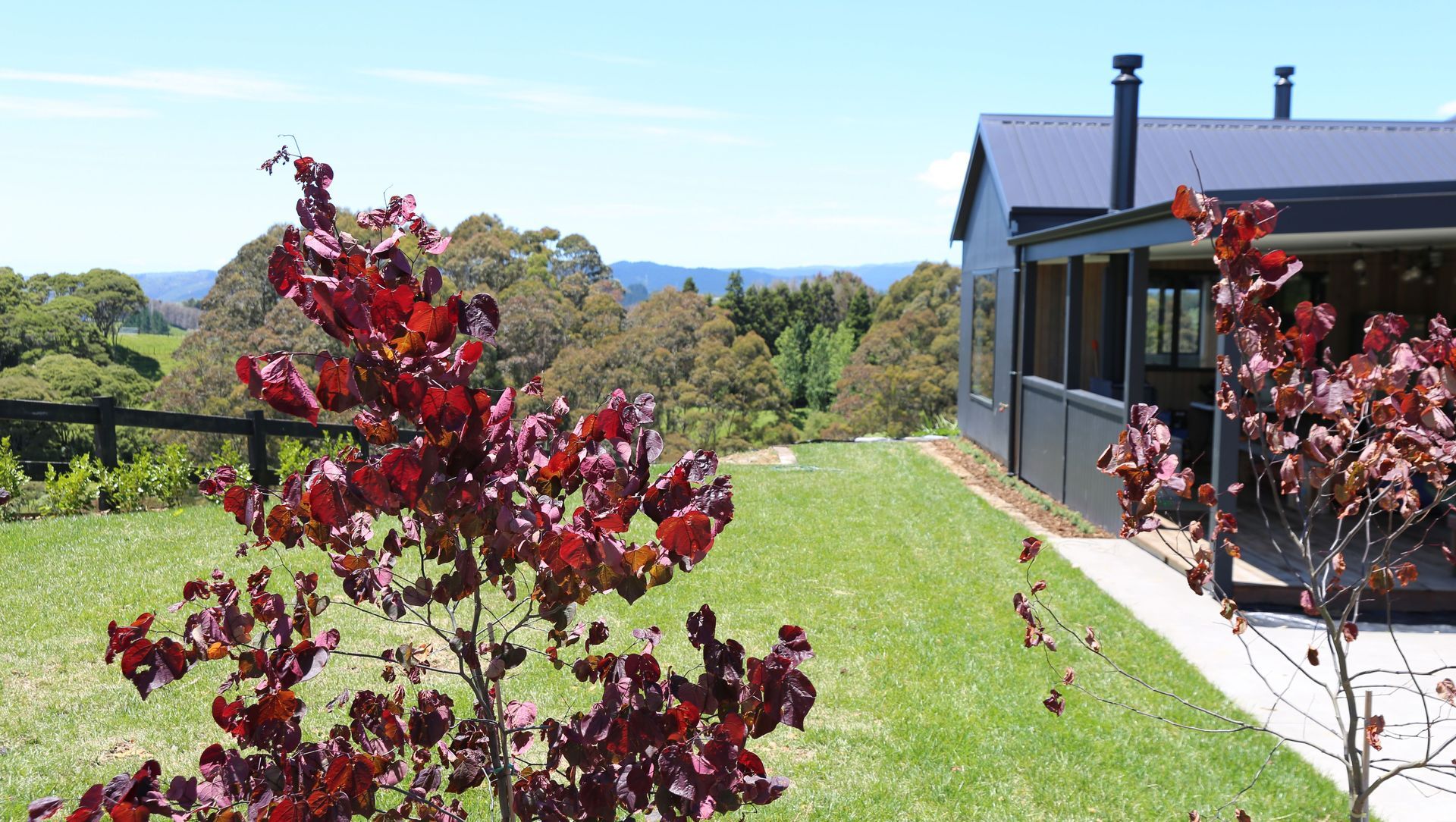 Clevedon - New Build banner