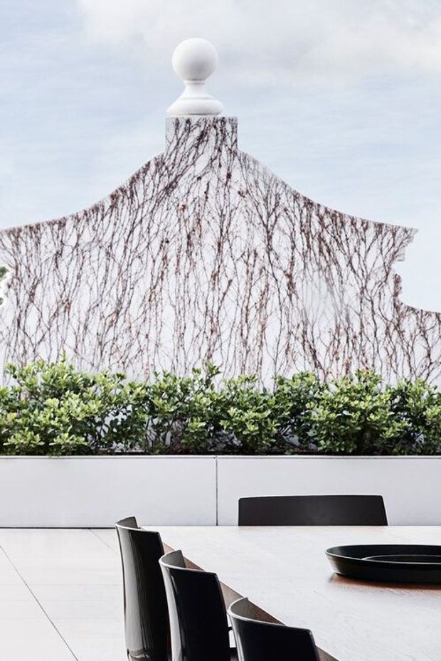 A bright outdoor dining terrace with a long pale table and sleek black dining chairs, bordered by a raised white planter filled with clipped green hedging. Behind it is a white rendered wall covered in leafless climbing vines and topped with a decorative ball finial, creating a formal, contemporary courtyard setting.