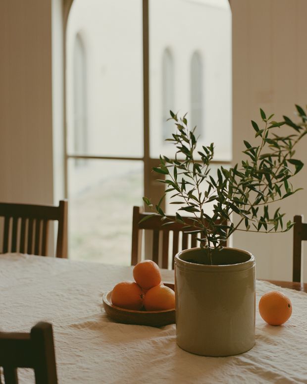 Warm, softly lit dining area with a textured light tablecloth, dark timber dining chairs, and a large ceramic planter containing an olive-like tree as the central feature. Tall arched windows with timber framing bring in diffused daylight, while a bowl and loose oranges sit on the table. The scene has a calm, natural, rustic character.