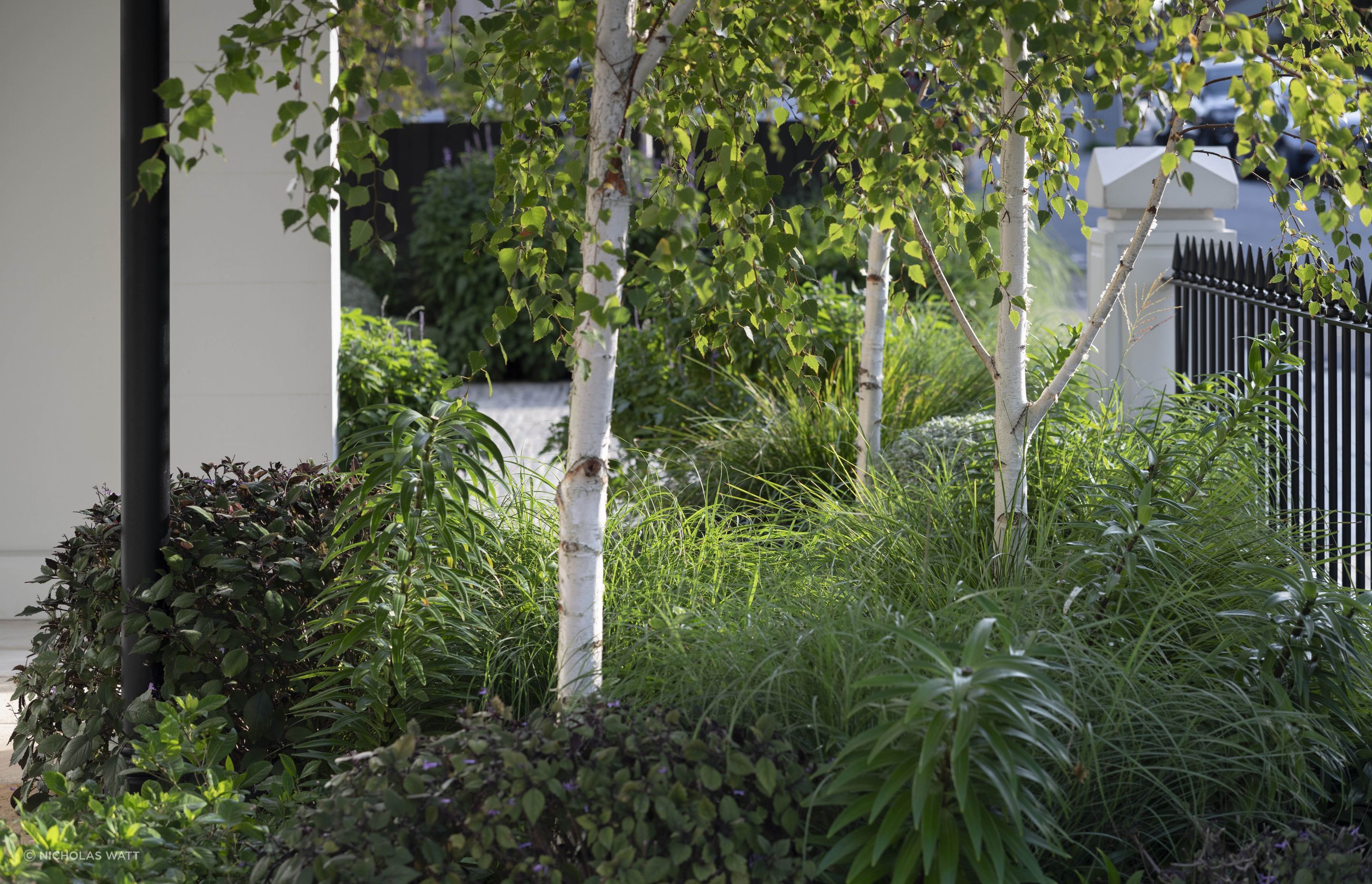 Hone Garden by Impressions Landscape Design | ArchiPro AU