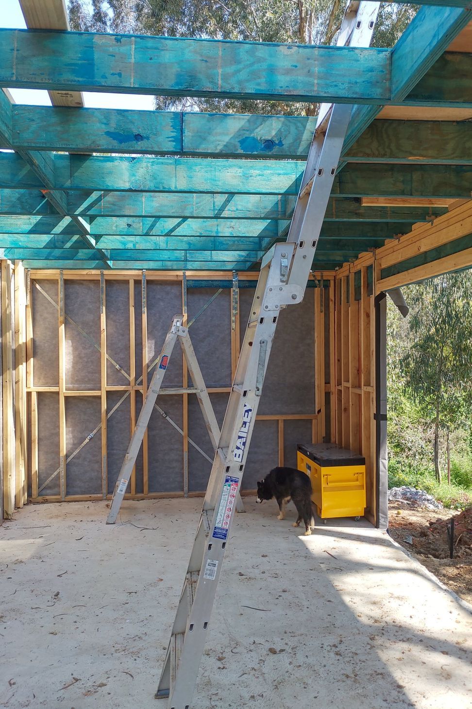 TEMPLESTOWE - Obriens Lane | Renovation & Extensions