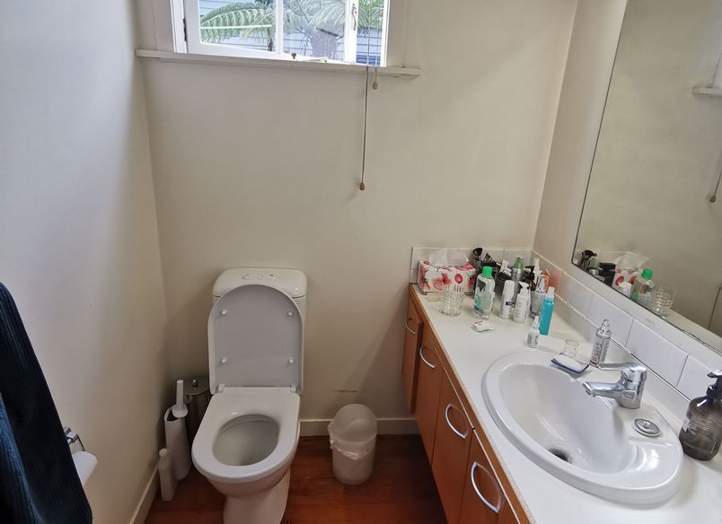 Remuera Ensuite Renovation: Modern Serenity Unveiled