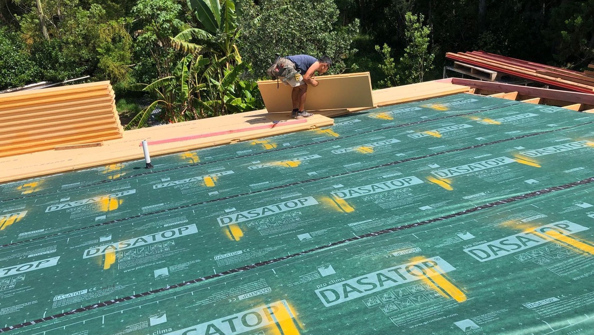 Renovating for performance in the 'Winterless' North banner