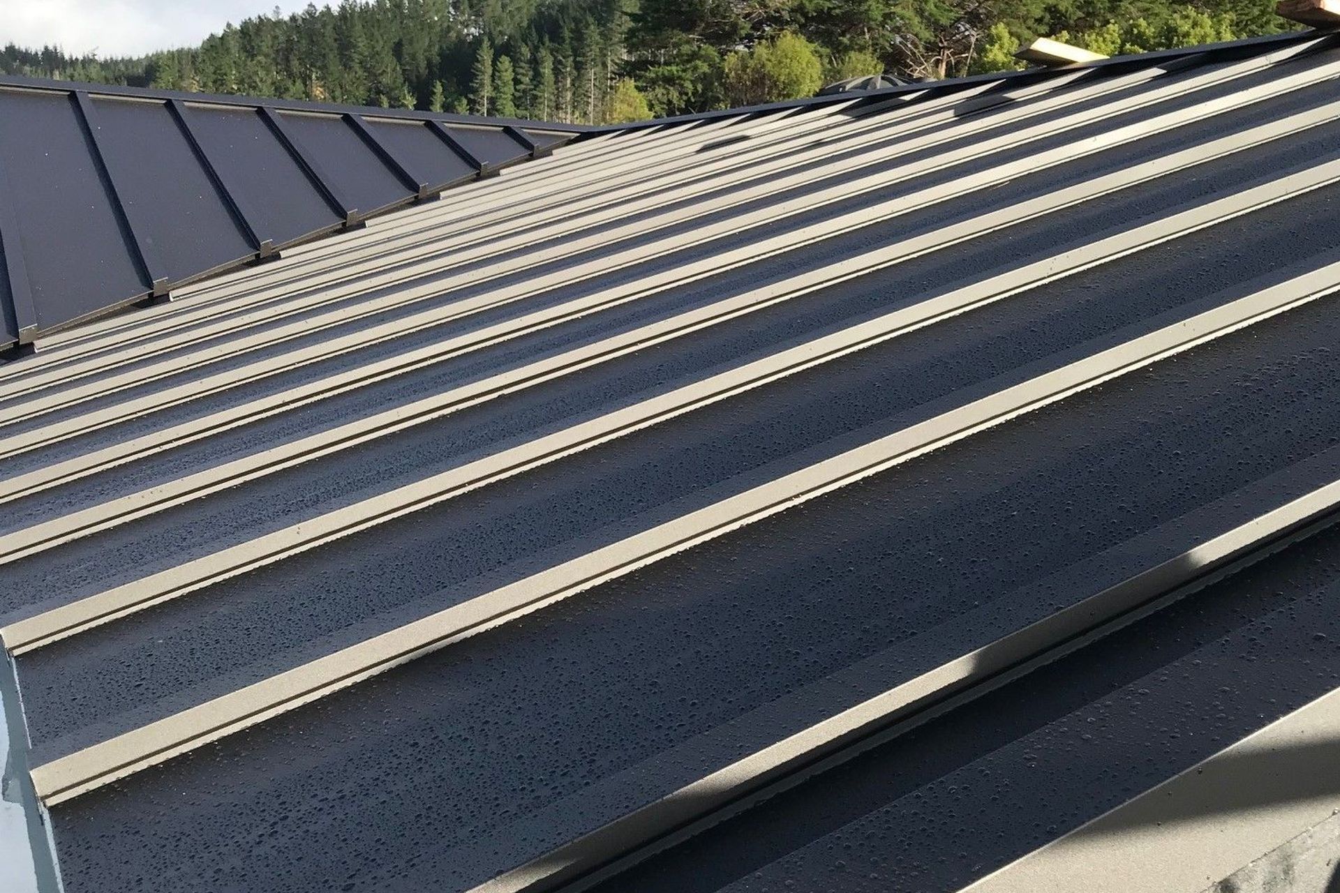 Euroline® Battenlok standing seam roof in COLORSTEEL® Matte "Flaxpod"