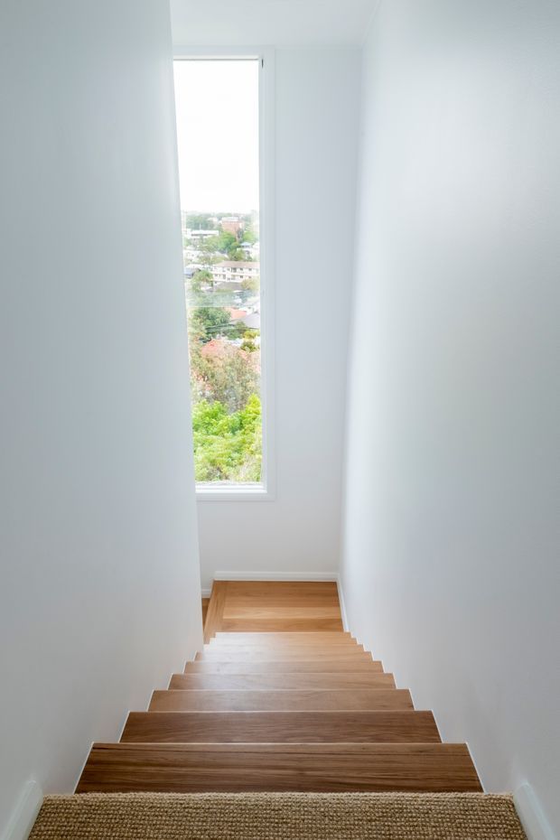 A narrow, straight residential staircase viewed from above, with warm timber treads descending toward a small landing and a tall vertical window. The stairwell has plain white painted walls, white trim, and a woven neutral carpet at the upper edge. Bright daylight and a leafy suburban view are visible through the window.