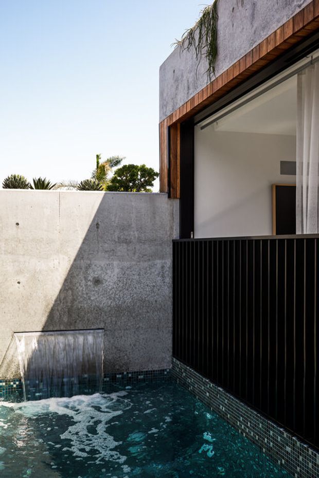 A contemporary urban residential exterior featuring a compact tiled plunge pool with a wall-mounted water feature, raw concrete boundary walls, black vertical metal screening, and a large glazed opening framed in warm timber. Minimal white interior surfaces and greenery are visible beyond the pool courtyard.