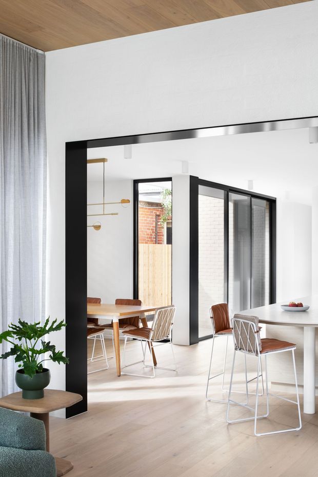 Bright contemporary open-plan dining area viewed from an adjoining living space. The room features pale timber flooring and ceiling, white walls, black-framed internal glazing and doors, a white dining table with slim white legs, leather dining chairs, sculptural pendant lighting, and a large leafy indoor plant. Full-height curtains and generous glazing create an airy connection to a small courtyard or outdoor area.