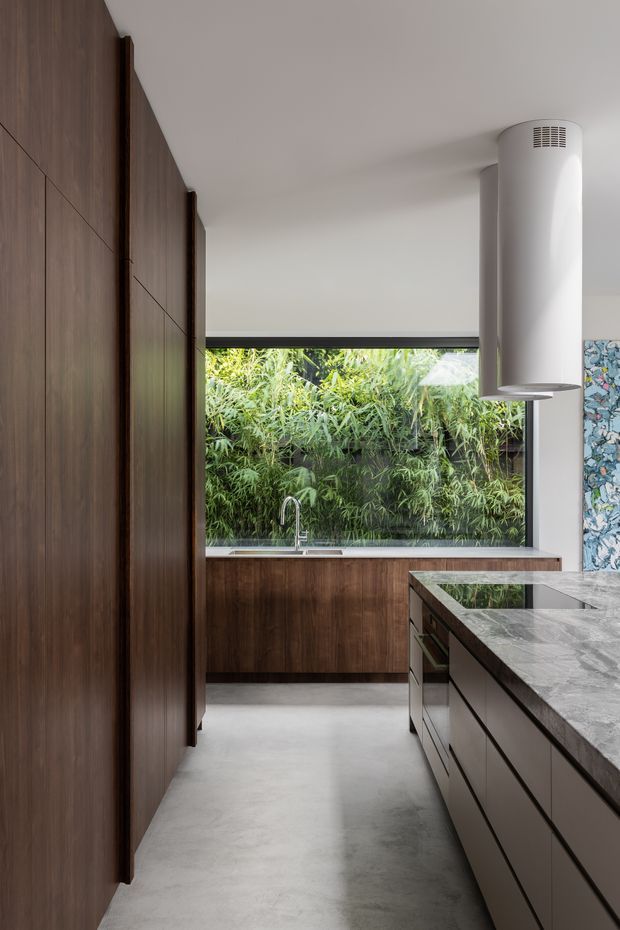 A refined contemporary kitchen with full-height dark timber cabinetry along one wall, matching timber base cabinets beneath a large garden-facing window, and a substantial island with a grey stone benchtop and integrated dark cooktop. A sculptural cylindrical white rangehood hangs above the island, while a lush planted screen is visible beyond the glazing. The room has a restrained, warm material palette and clean linear detailing.