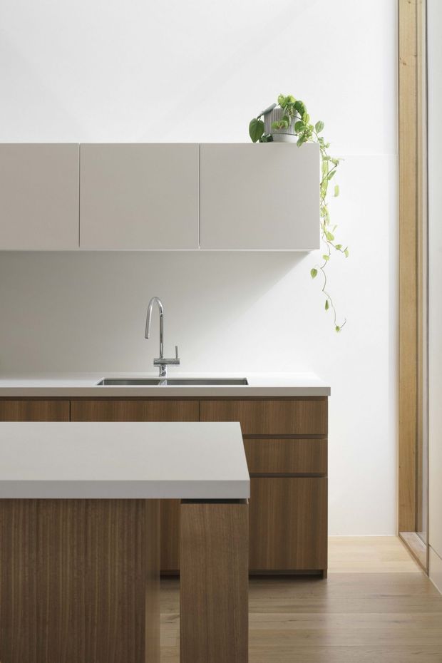 A compact, minimalist kitchen with flat-panel warm wood base cabinetry, matte light-grey upper cabinets, a pale benchtop with integrated sink and brushed metal gooseneck tap, and a projecting island or breakfast bar. A trailing houseplant adds a natural accent, while full-height timber-framed glazing or a door is visible at right. The space is bright, clean, and restrained.