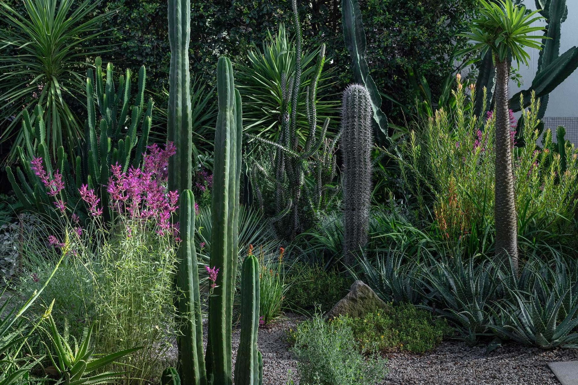 Landscape-Design-COURLAND-13-02-20250375.jpg