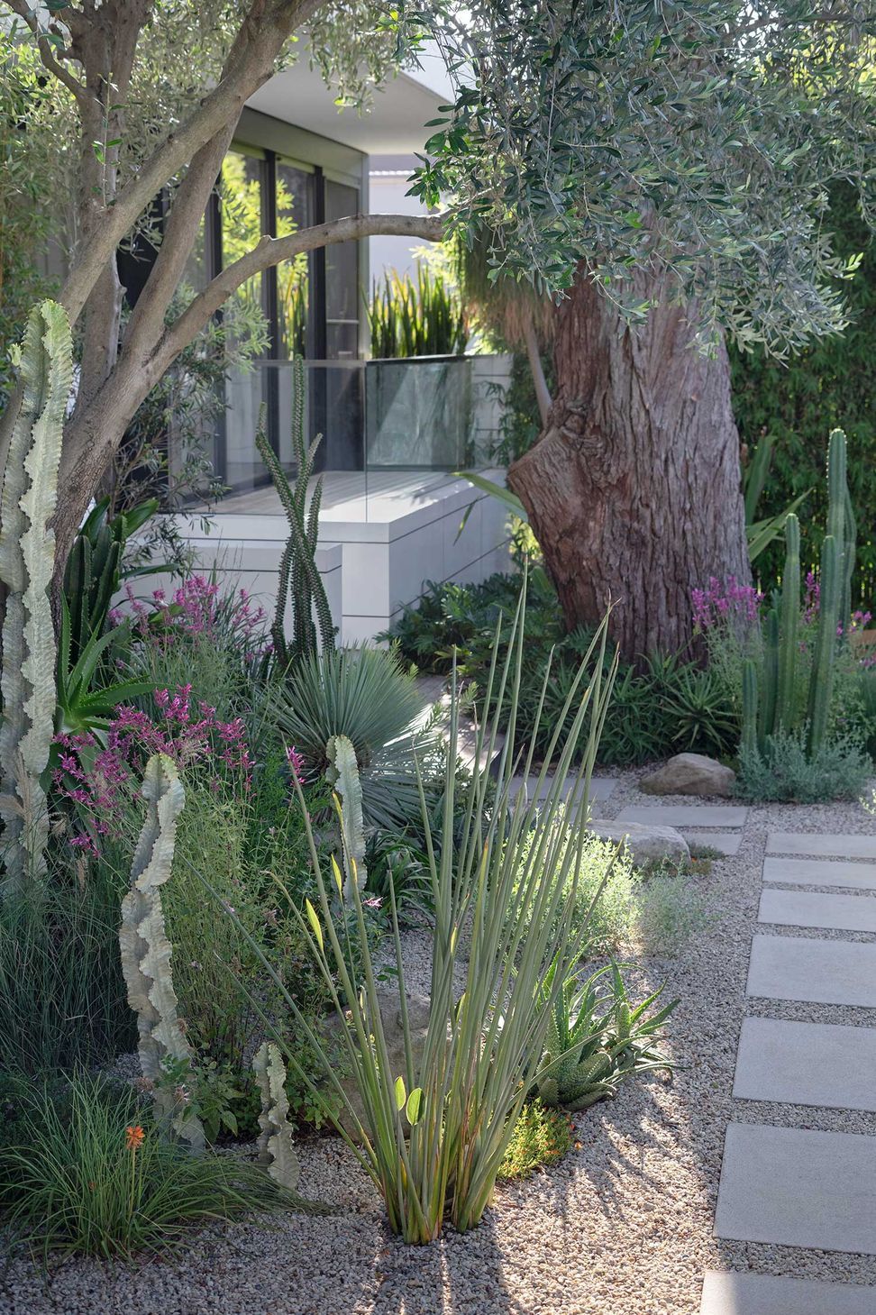 Landscape-Design-COURLAND-13-02-20251576.jpg