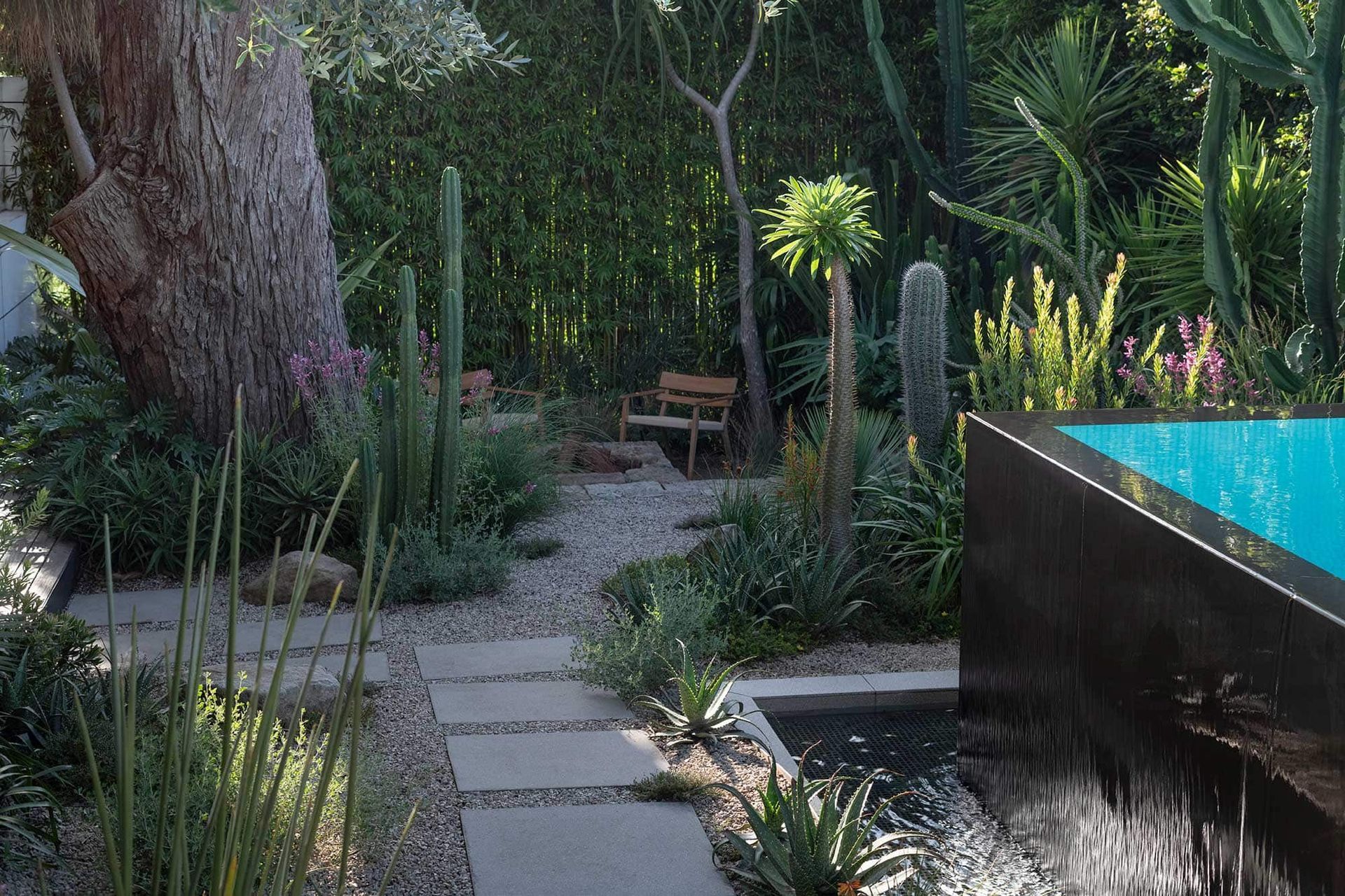 Landscape-Design-COURLAND-13-02-20251592.jpg
