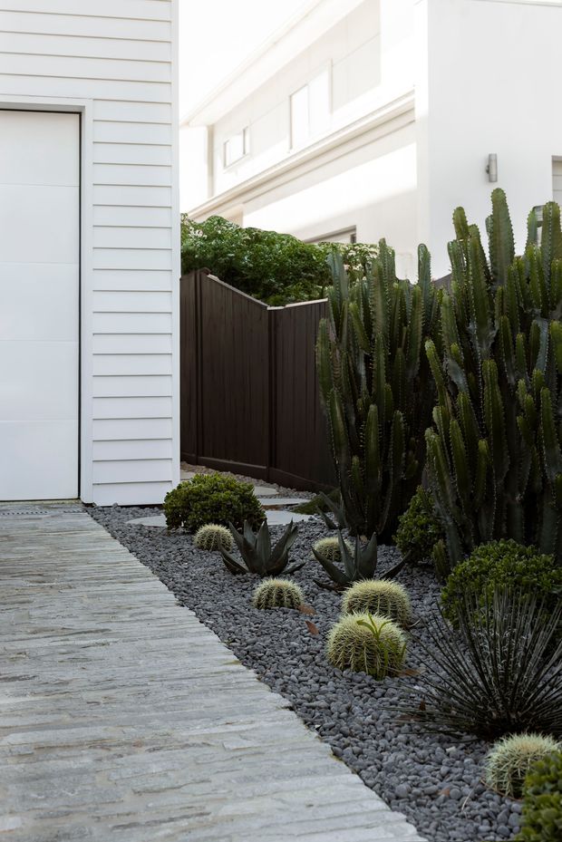 A minimalist residential side entry and driveway landscape. A pale horizontal-clad garage wall and white modern two-storey building frame a narrow path paved with large light-grey stone slabs. Dark volcanic-looking gravel beds contain sculptural cacti, agaves, barrel cacti and clipped shrubs, bordered by a dark timber privacy fence.