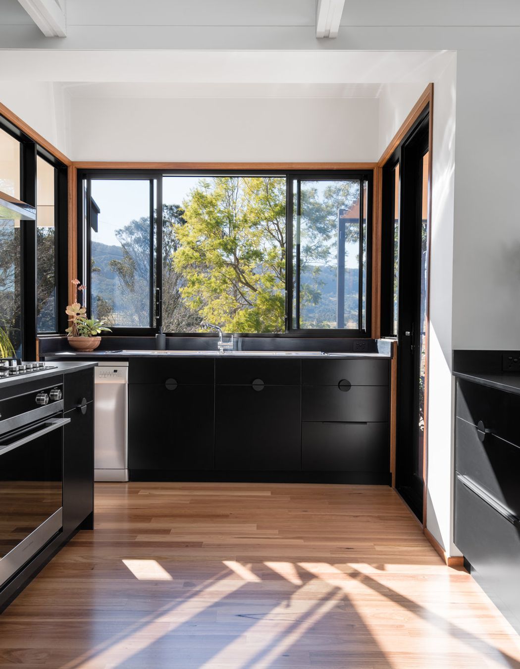 Photo Credit: Mitchell Fong