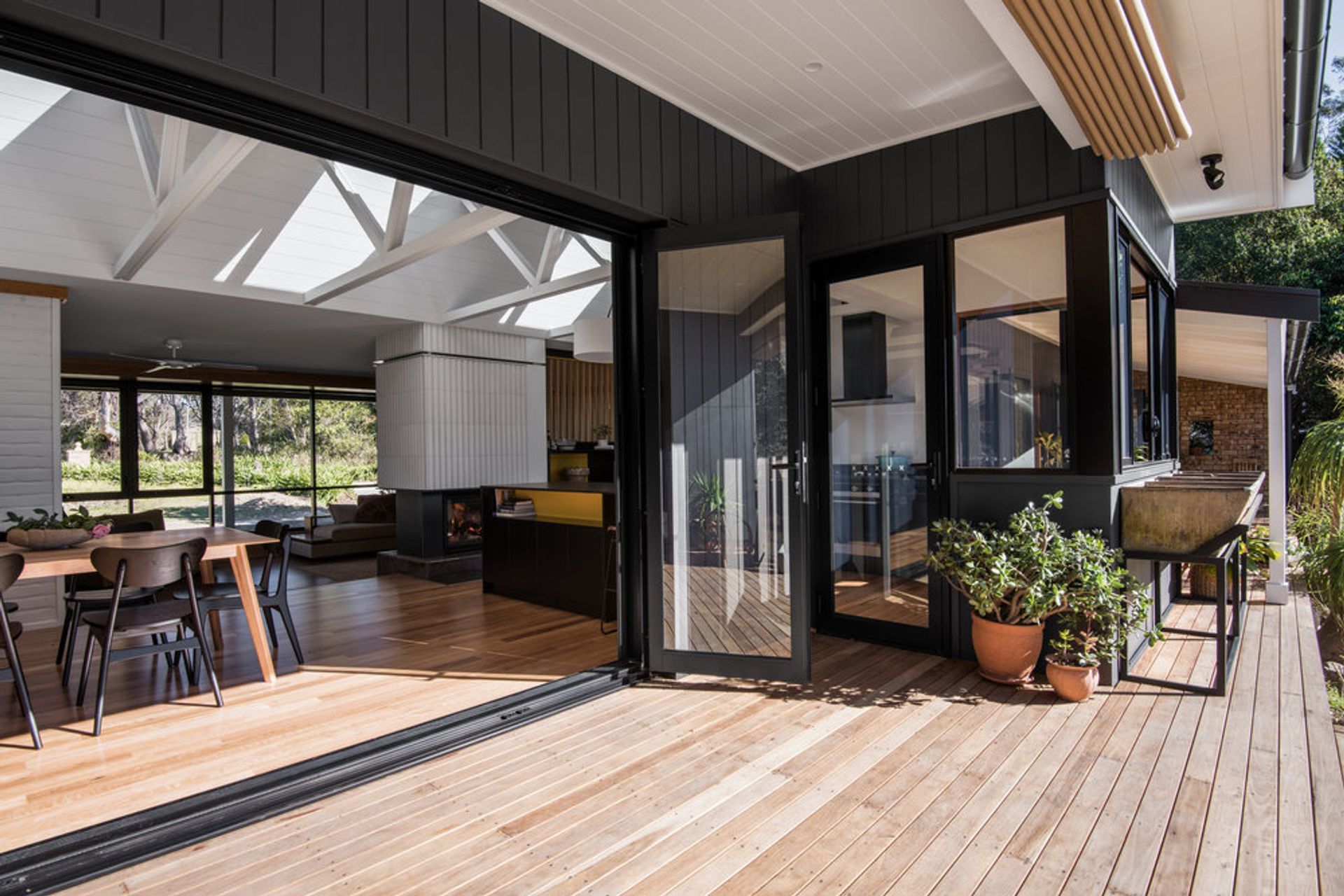 Photo Credit: Mitchell Fong