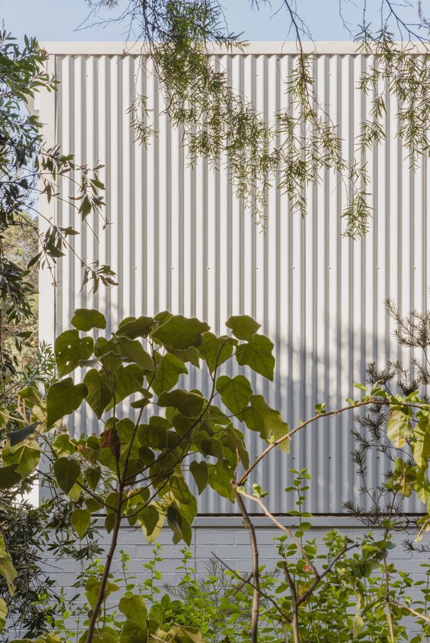 Close-up exterior view of a light-coloured vertically corrugated metal wall, partially screened by leafy garden planting and branches. The facade has a simple, utilitarian composition with a low painted masonry base and strong vertical ribbing.