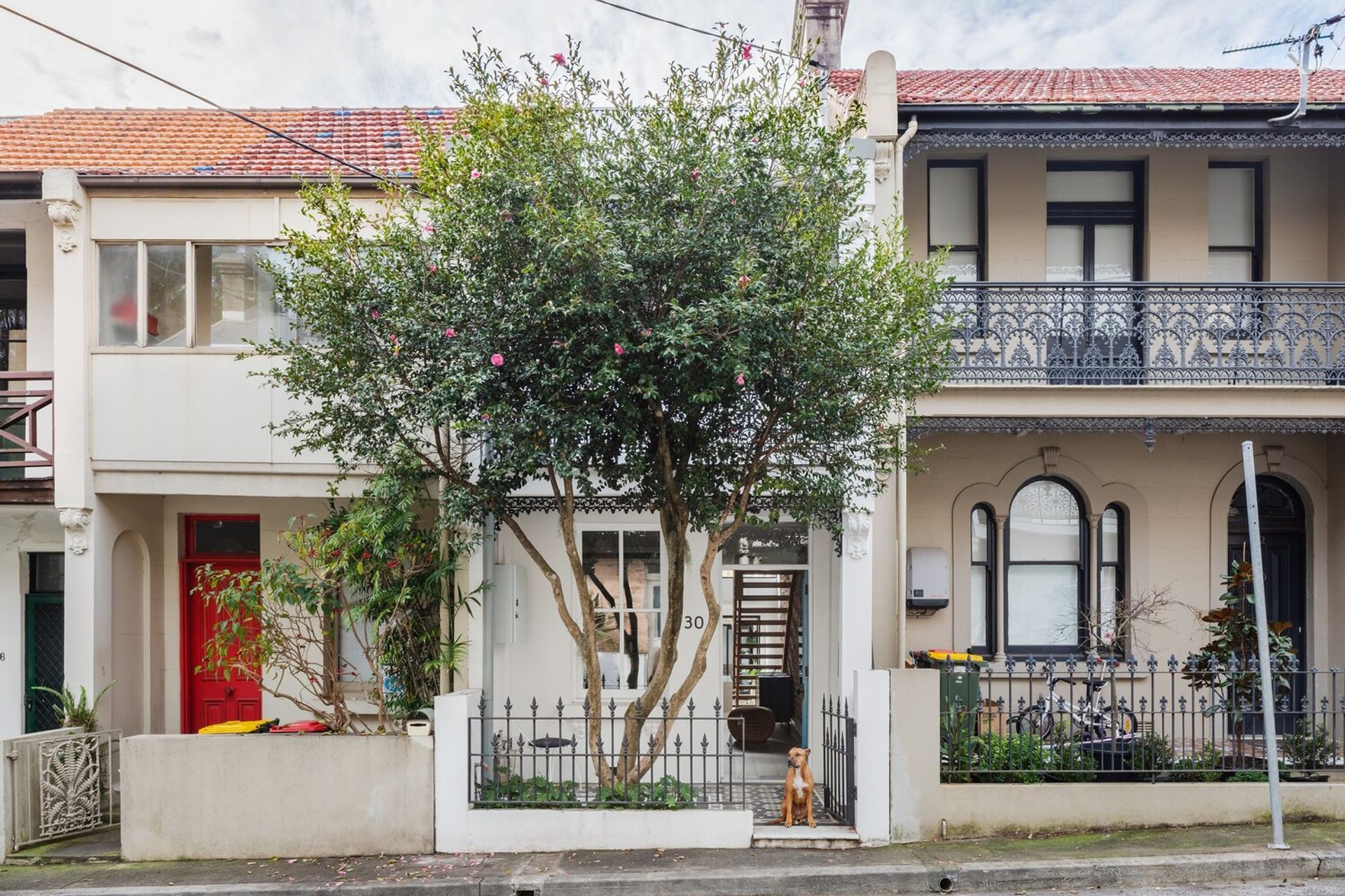 Photography: Katherine Lu