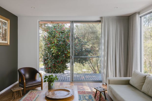 A bright, refined living room with large sliding glass doors opening onto a timber deck and leafy garden. The room features a cream sofa, dark leather-and-timber armchair, patterned rug, coffee table, indoor plant, framed artwork, and full-height sheer curtains. White walls and ceiling contrast with a dark green feature wall and warm timber flooring.