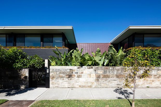 Street-facing exterior of a contemporary low-rise residence with two wings under broad, shallow-pitched roof planes. Dark-framed glazing, timber-toned cladding, lush tropical planting, a pale masonry boundary wall, and a concrete pedestrian path define the frontage under a clear blue sky.