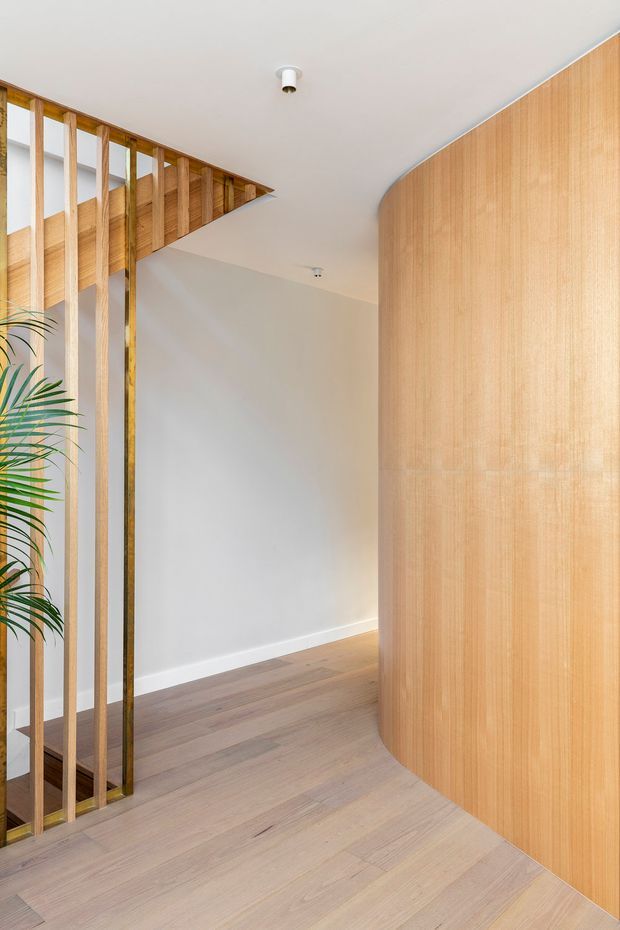 A bright minimalist interior passage or entry area featuring pale timber flooring, a large curved timber-clad wall, and a vertical timber slat partition with an integrated stair or void beyond. White plaster walls and ceiling create a clean, warm, contemporary architectural setting, with a leafy plant partially visible at the edge.
