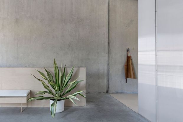 Minimalist interior featuring a large potted architectural plant in front of a low pale built-in bench or console. The space has raw grey concrete walls and polished grey concrete flooring, with a tall smooth white partition or cabinetry wall at right and a small hanging leather item on the rear wall. The composition is sparse, monochromatic, and refined with strong vertical and horizontal lines.