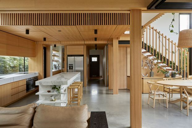 Open-plan contemporary kitchen and dining area with extensive warm timber cabinetry and ceiling lining, a large white stone island, integrated appliances, polished concrete flooring, and a timber staircase with vertical balustrade. A living area is visible in the foreground, with abundant glazing and indoor planting creating a warm, natural atmosphere.