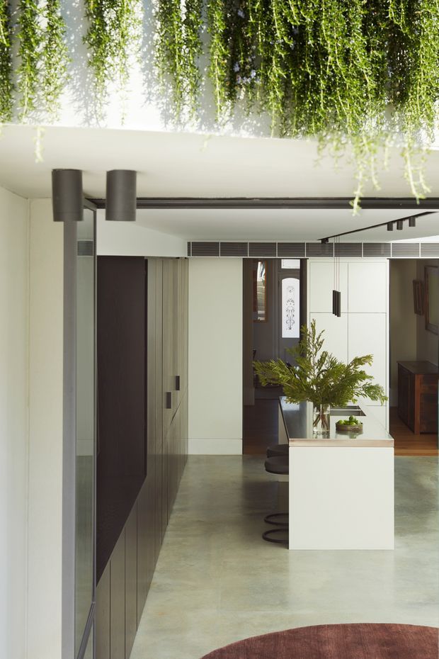 A refined contemporary interior view, likely an entryway or open-plan living area, with a polished concrete floor, crisp white walls and built-in cabinetry, dark timber or painted joinery, a central white island or console with a stone-like top, and a large indoor plant arrangement. A mirrored or glossy ceiling feature is densely covered with trailing greenery, creating a striking biophilic focal point. Minimal black cylindrical pendant lights and linear ceiling details add contrast, while a doorway and additional cabinetry are visible deeper in the space.