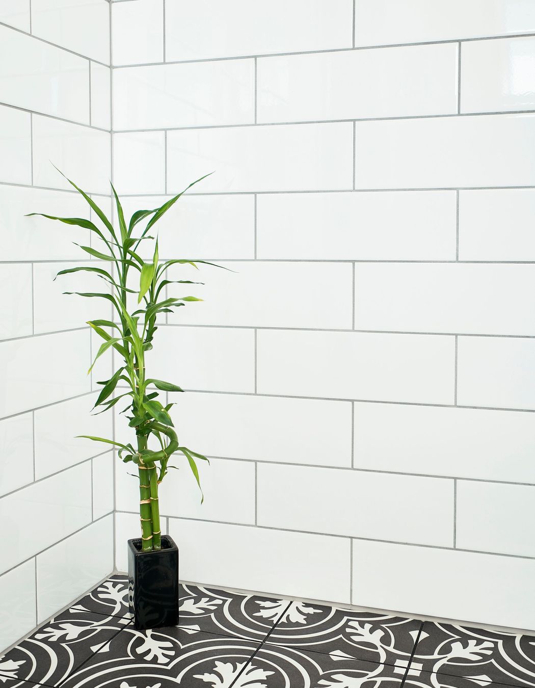 Bingham Ensuite Renovation