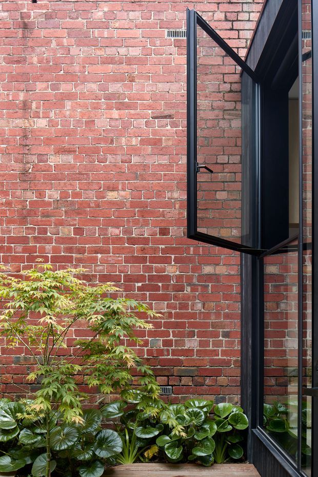 A close-up architectural view of a red brick courtyard or garden wall with tall black-framed glazing and an outward-opening awning window. Dense leafy planting fills the base, creating a strong contrast between the warm brickwork, dark metal frames, and greenery. The image focuses on the building facade and courtyard edge rather than an interior room.