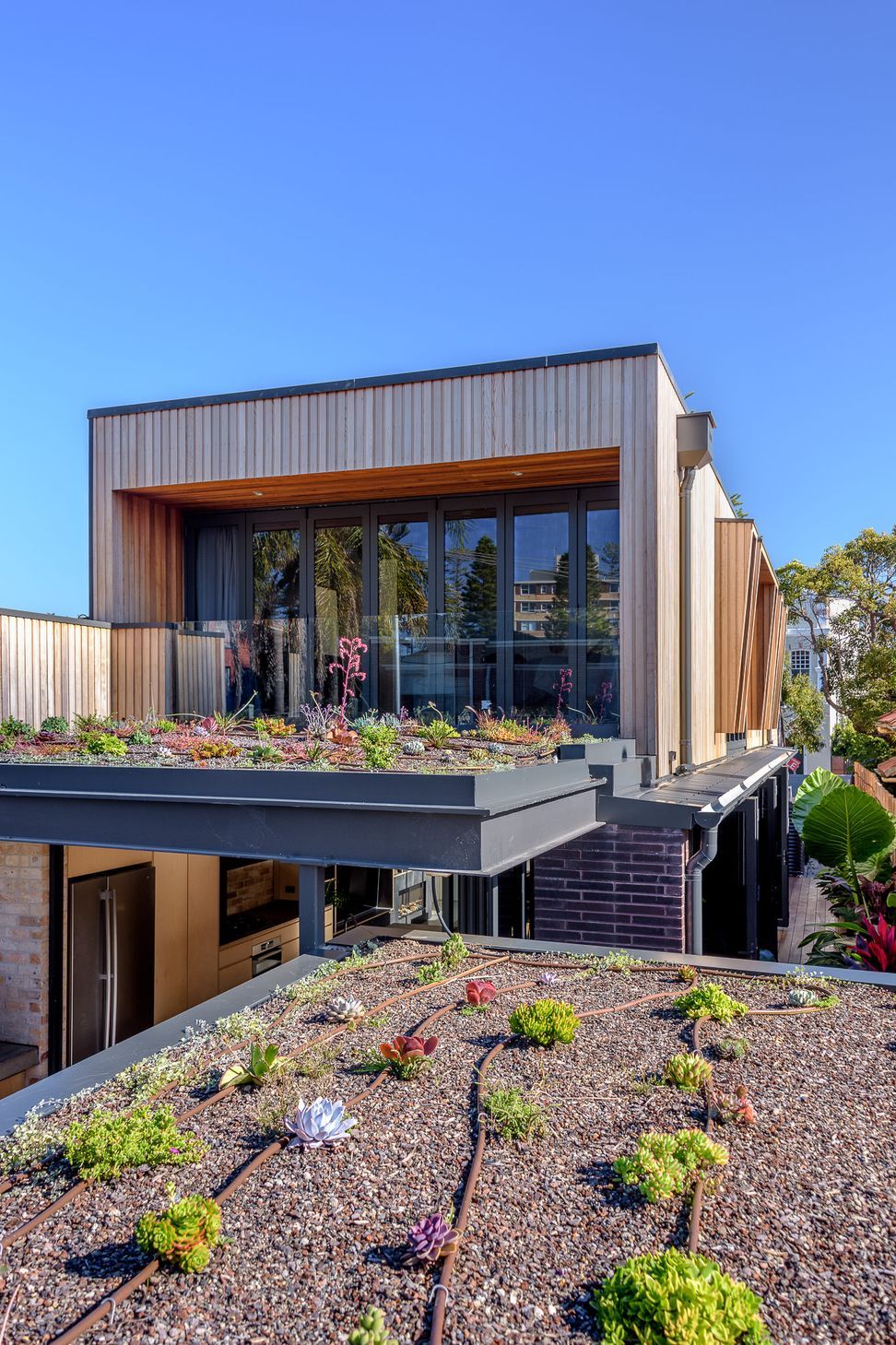 Zyan House