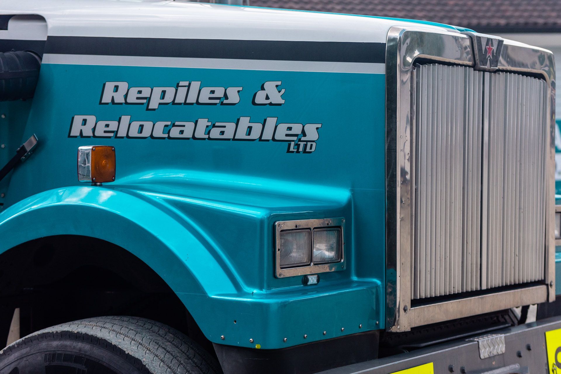 Repiles &amp; Relocatables - Marketing Photography