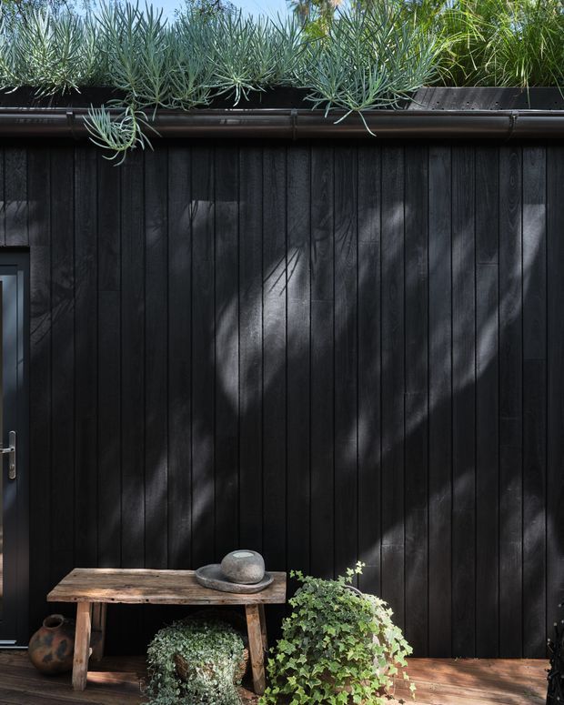 Close-up exterior view of a dark-stained vertical timber-clad wall with a narrow door at the left edge, dark metal guttering, and lush plants growing along the roofline. A weathered timber bench with a stone ornament and potted greenery sits on a timber deck in front. Dappled sunlight creates organic shadows across the facade.