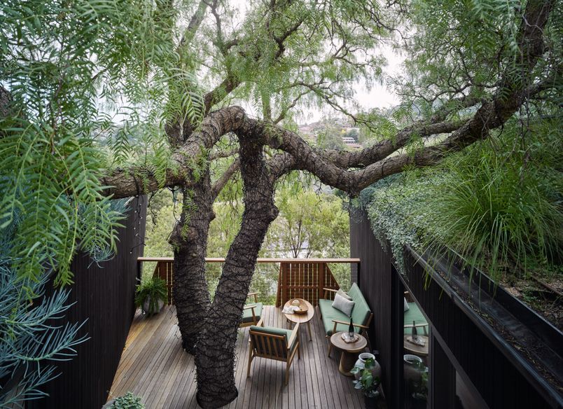Pepper Tree Passive House