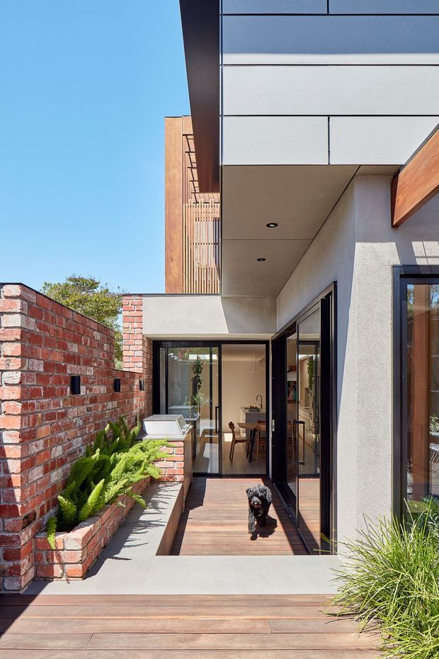 A bright contemporary residential courtyard and deck viewed from outdoors. A narrow timber-decked walkway leads through black-framed glazed doors into a dining area, bordered by a raised red-brick planter and brick boundary wall with lush greenery. The house features smooth light render, extensive glazing, timber cladding or detailing, and a broad cantilevered overhang with recessed downlights. Strong indoor-outdoor connection and clear blue-sky daylight are visible.