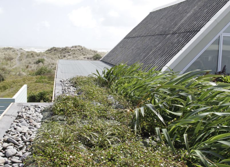 Port Waikato Home Green Roof