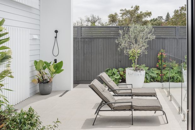 A contemporary outdoor courtyard or patio beside a light weatherboard-clad building, featuring pale concrete paving, dark privacy fencing, raised planted garden beds, a large potted olive tree, and two reclining outdoor loungers. Full-height glazing or doors frame the right side, creating a refined indoor-outdoor setting.