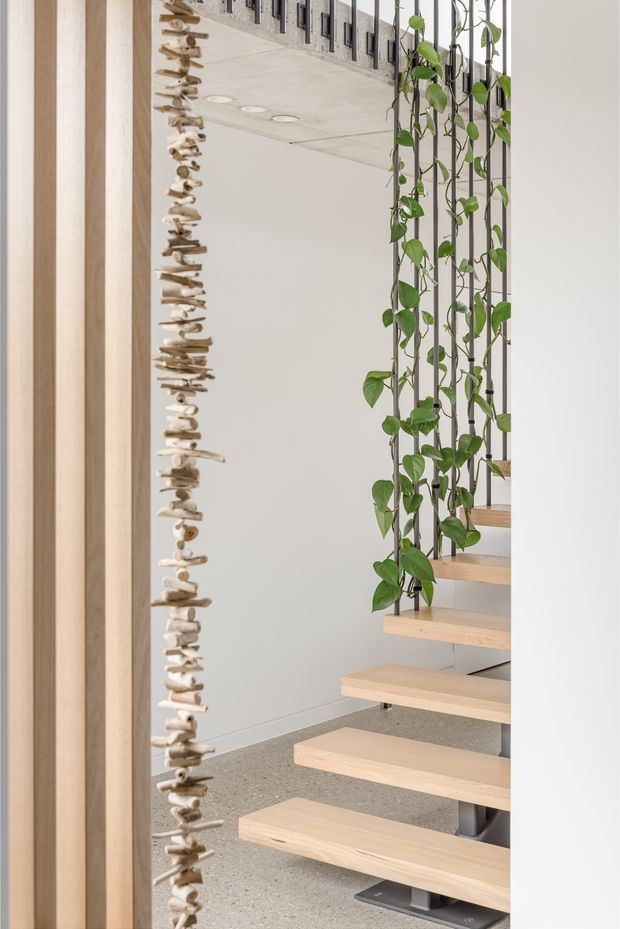 Bright contemporary interior featuring a floating timber staircase with open risers, slim dark metal supports and a vertical green climbing plant trellis. A decorative hanging installation of small natural wood pieces frames the stairwell. The space has white walls, a pale concrete ceiling with recessed downlights, and a speckled grey floor.