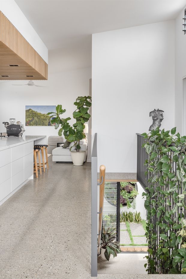 Bright open-plan interior showing a contemporary kitchen and living area beside a stairway. The space features a white island with integrated cabinetry, a pale stone or terrazzo-like benchtop, a timber slatted overhead ceiling feature, polished concrete or terrazzo flooring, white walls, abundant indoor plants, and a stair descending to a planted courtyard or garden.