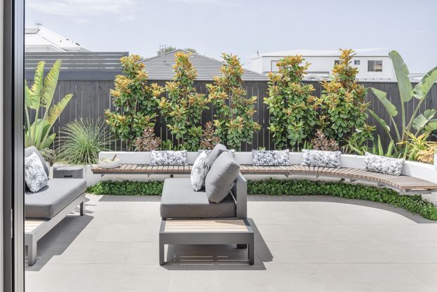 A bright landscaped courtyard terrace with pale large-format paving, a curved built-in timber bench, grey outdoor lounge chairs, and patterned cushions. Dense clipped shrubs and tropical plants line a dark vertical-screen boundary, with neighbouring rooftops visible beyond.