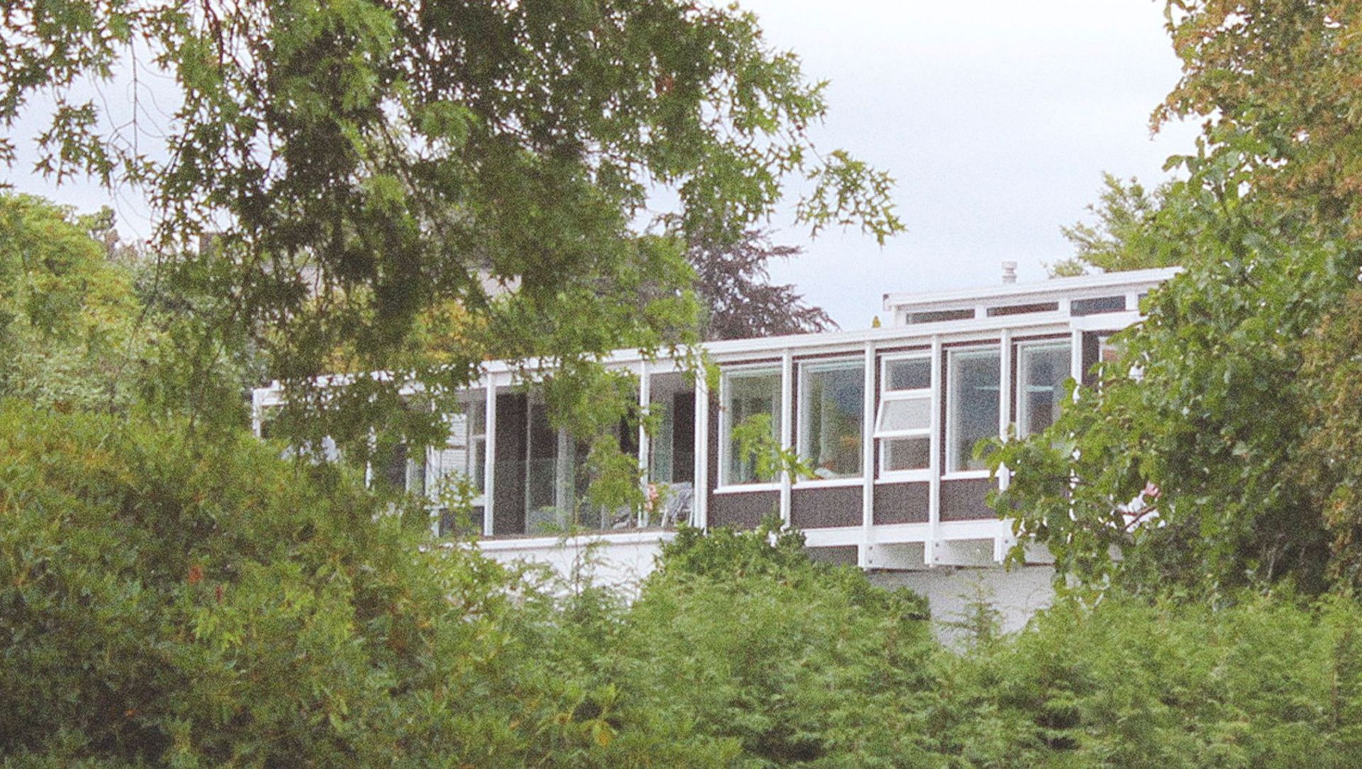 Rainbow Point Renovation banner