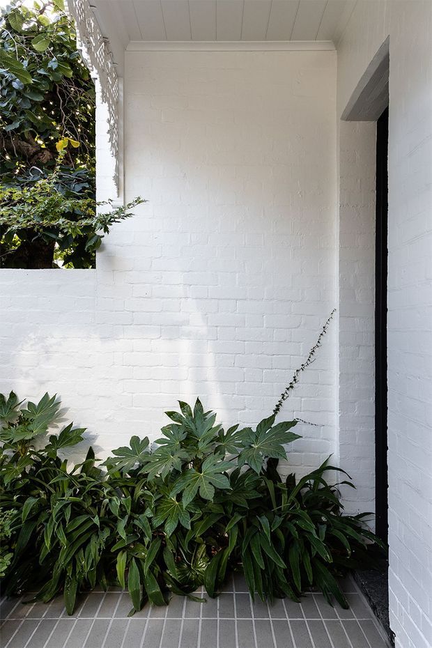 A compact sheltered courtyard or entry passage with white-painted brick walls, a white paneled ceiling, and a dark-framed opening on the right. Dense green tropical-style planting fills a raised garden bed, while narrow grey tiled paving runs across the floor. The scene is bright, calm, and minimalist with a strong white-and-green palette.