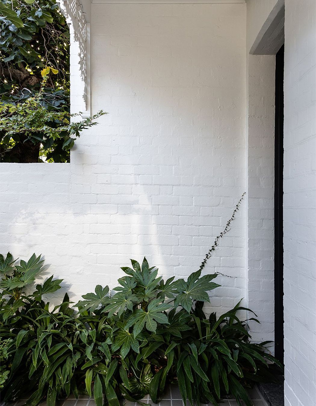 South Yarra Residence