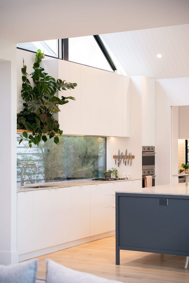 Bright contemporary open-plan kitchen with white flat-panel cabinetry, a dark blue island, integrated stainless-steel appliances, timber flooring, and a large black-framed glazed window overlooking greenery. A high angled white-lined ceiling with clerestory-style glazing brings in abundant natural light, while indoor plants add an organic touch.