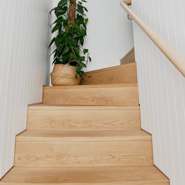 A narrow interior stairway with warm light-oak timber treads and matching risers, white vertically panelled walls, and a pale timber handrail. A leafy indoor plant in a woven basket sits on the upper landing, adding a natural accent to the bright, clean space.