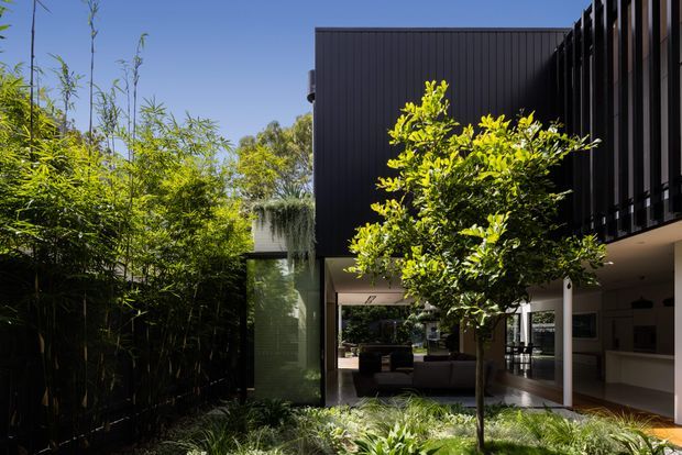 A contemporary residential courtyard framed by lush planting and bamboo, with a dark vertically clad upper volume and deep covered opening leading into a bright living area. Strong black-and-green contrast, clean rectilinear forms, and integrated indoor-outdoor connection define the scene.