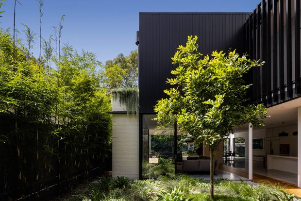A contemporary two-storey residential courtyard view in bright sunlight, framed by dense bamboo planting and a landscaped garden. The house features a dark vertically ribbed upper facade, extensive glazing, white structural columns, and an open ground-floor living area visible through the opening. A timber-toned deck or interior floor extends toward the garden, creating a strong indoor–outdoor connection.